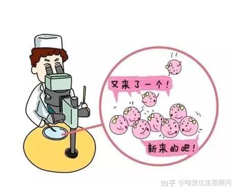 代孕