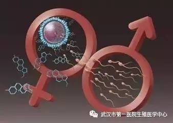 代孕中介服务