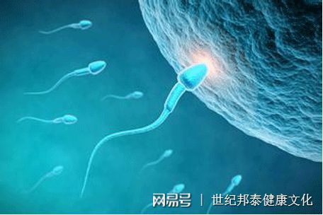 代孕产子