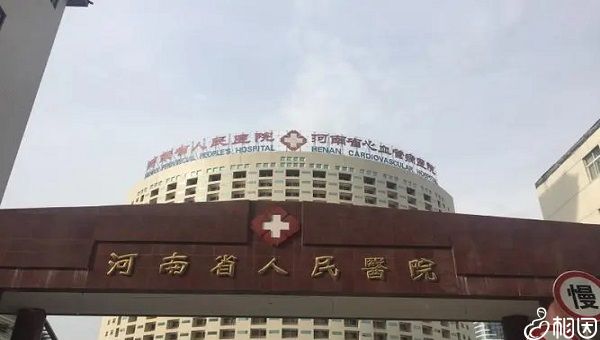代孕中介
