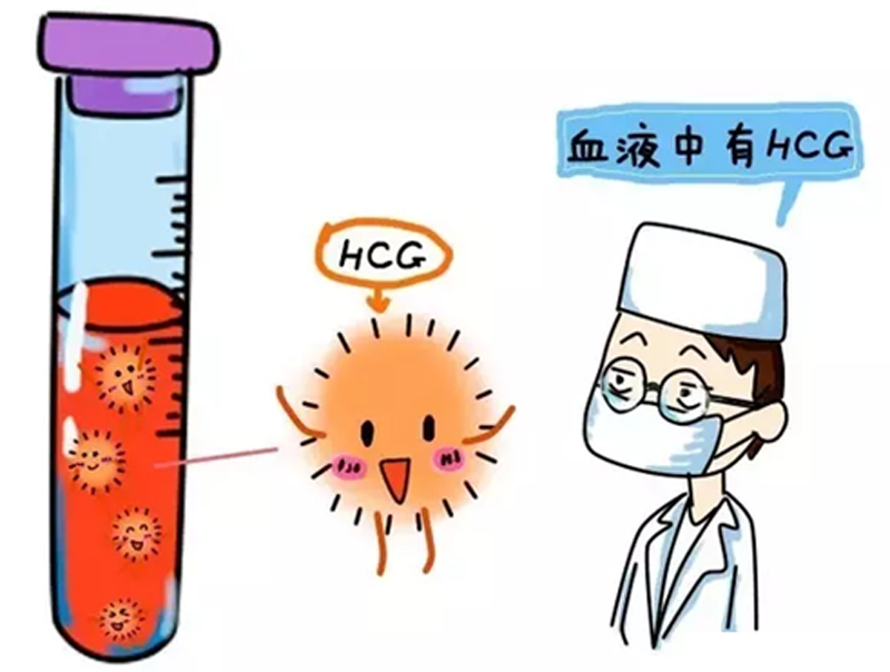 代孕产子