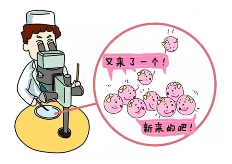 美国代孕